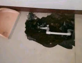 周口卫生间测漏水多少钱